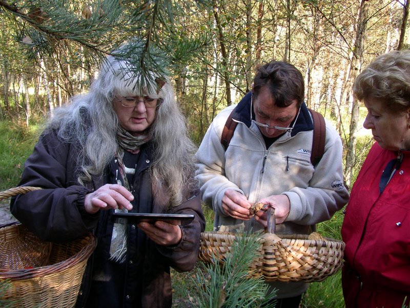 Mares au vinaigre 11